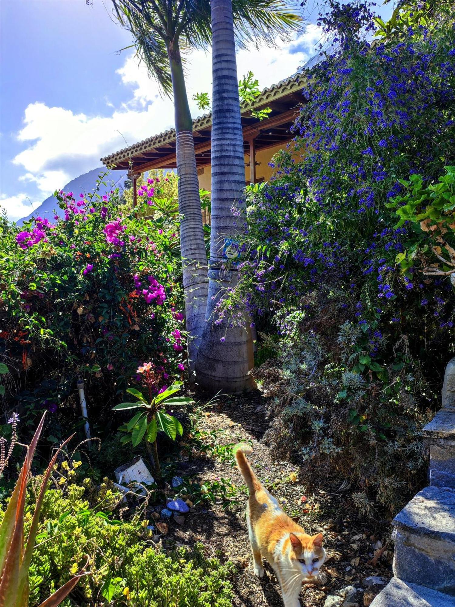The Cradle Of The Moon, Rivendell Hotel El Paso Exterior foto